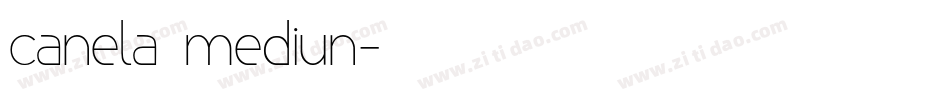 canela mediun字体转换